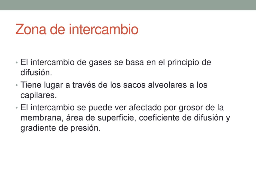 Zona de intercambio El intercambio de gases se basa en el principio de difusión. Tiene lugar a través de los sacos alveolares a los capilares.