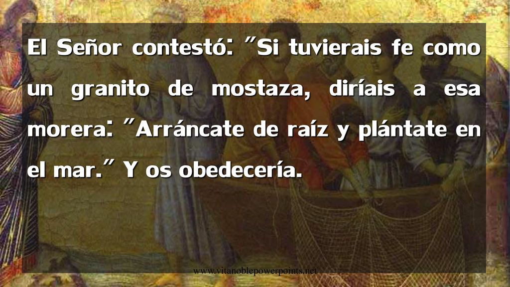 El Señor contestó: Si tuvierais fe como un granito de mostaza, diríais a esa morera: Arráncate de raíz y plántate en el mar. Y os obedecería.