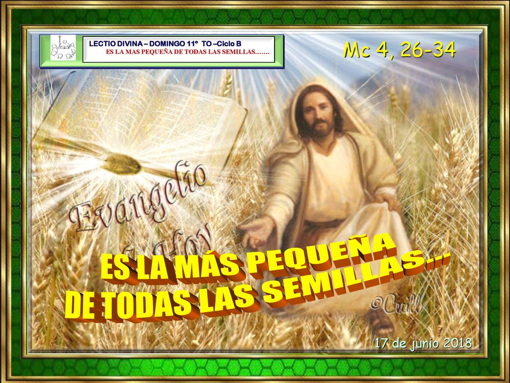 ES LA MÁS PEQUEÑA DE TODAS LAS SEMILLAS… Mc 4, de junio 2018