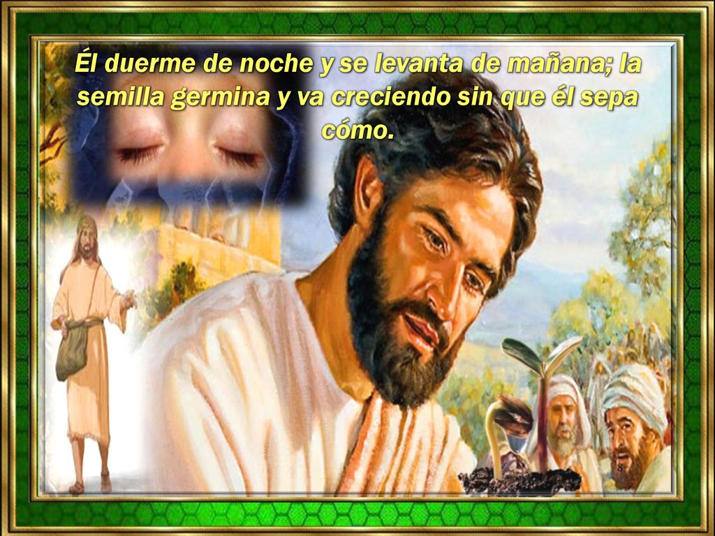 Él duerme de noche y se levanta de mañana; la semilla germina y va creciendo sin que él sepa cómo.