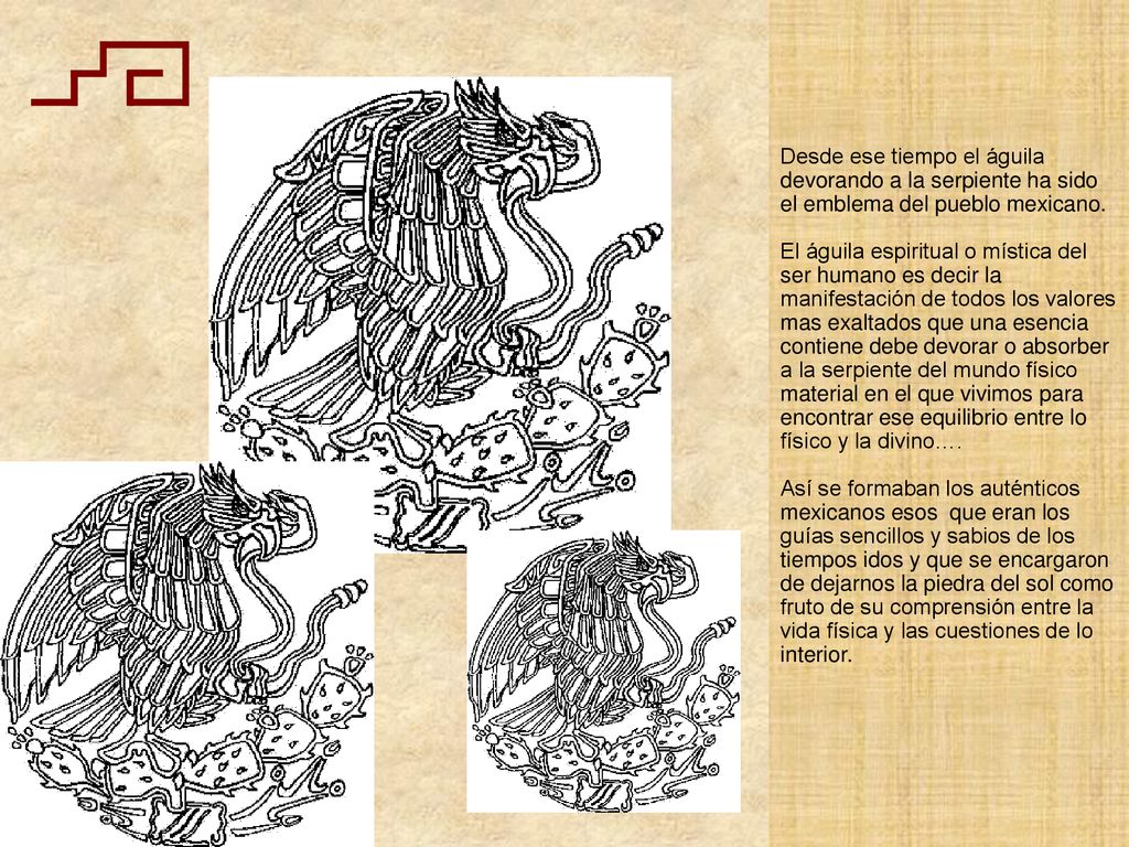Desde ese tiempo el águila devorando a la serpiente ha sido el emblema del pueblo mexicano.