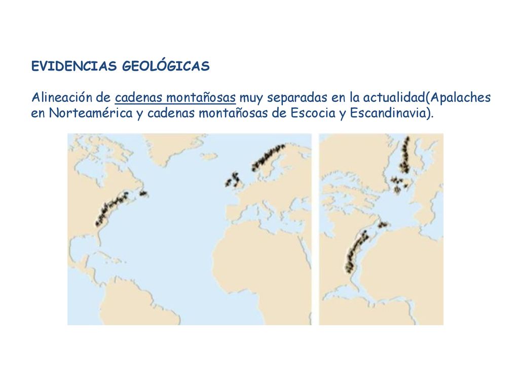 EVIDENCIAS GEOLÓGICAS Alineación de cadenas montañosas muy separadas en la actualidad(Apalaches en Norteamérica y cadenas montañosas de Escocia y Escandinavia).
