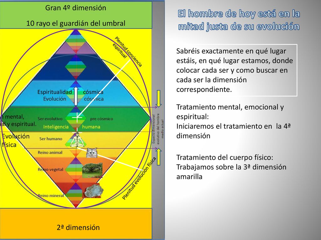 El hombre de hoy está en la mitad justa de su evolución