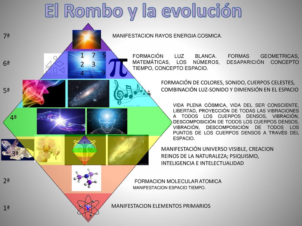 El Rombo y la evolución 7ª 6ª ª 4 9 4ª 3ª 2ª 1ª