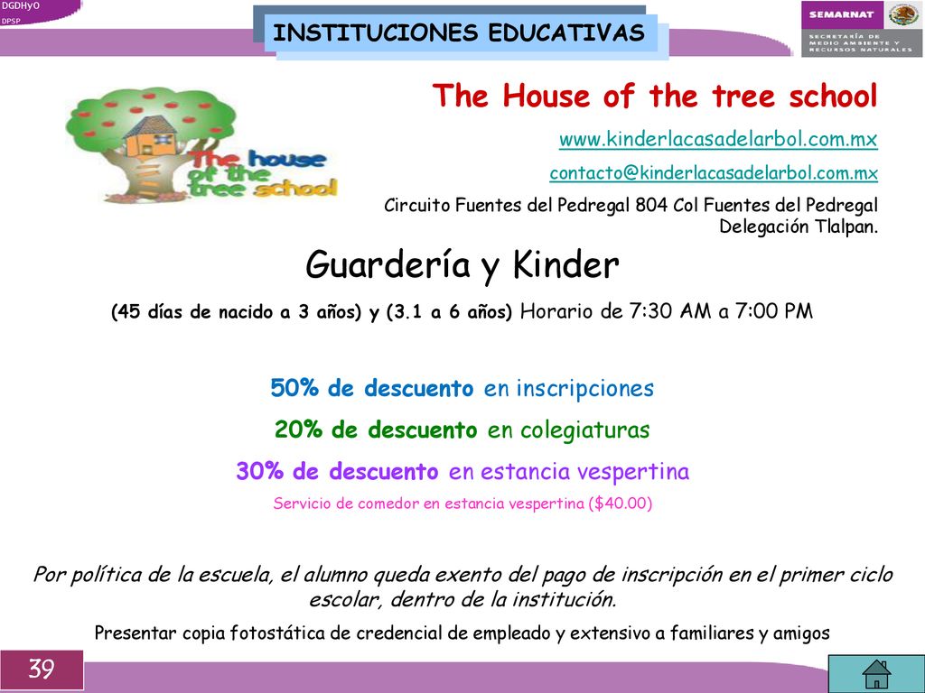 Guardería y Kinder The House of the tree school 39