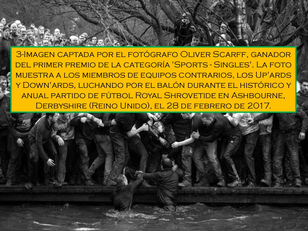 3-Imagen captada por el fotógrafo Oliver Scarff, ganador del primer premio de la categoría Sports - Singles .