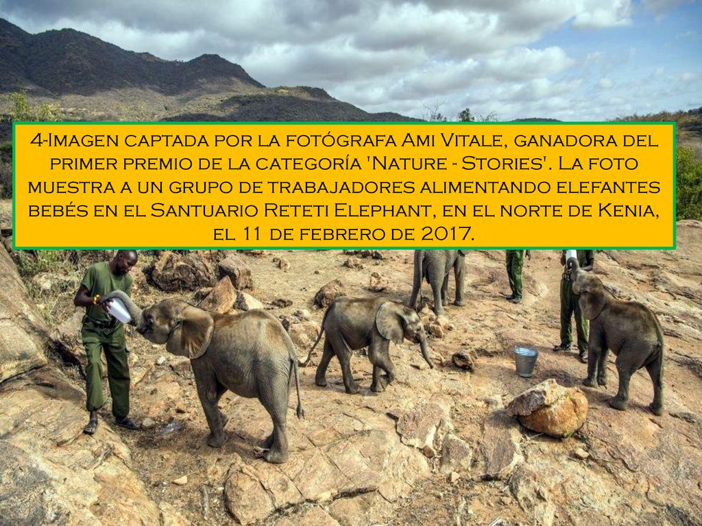 4-Imagen captada por la fotógrafa Ami Vitale, ganadora del primer premio de la categoría Nature - Stories .