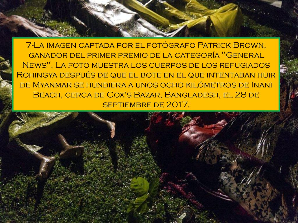 7-La imagen captada por el fotógrafo Patrick Brown, ganador del primer premio de la categoría General News .