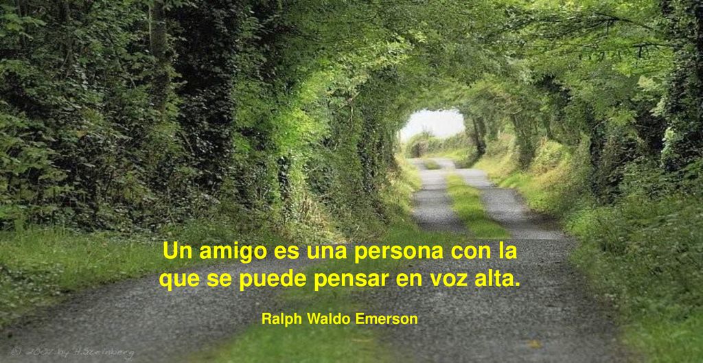 Un amigo es una persona con la que se puede pensar en voz alta.