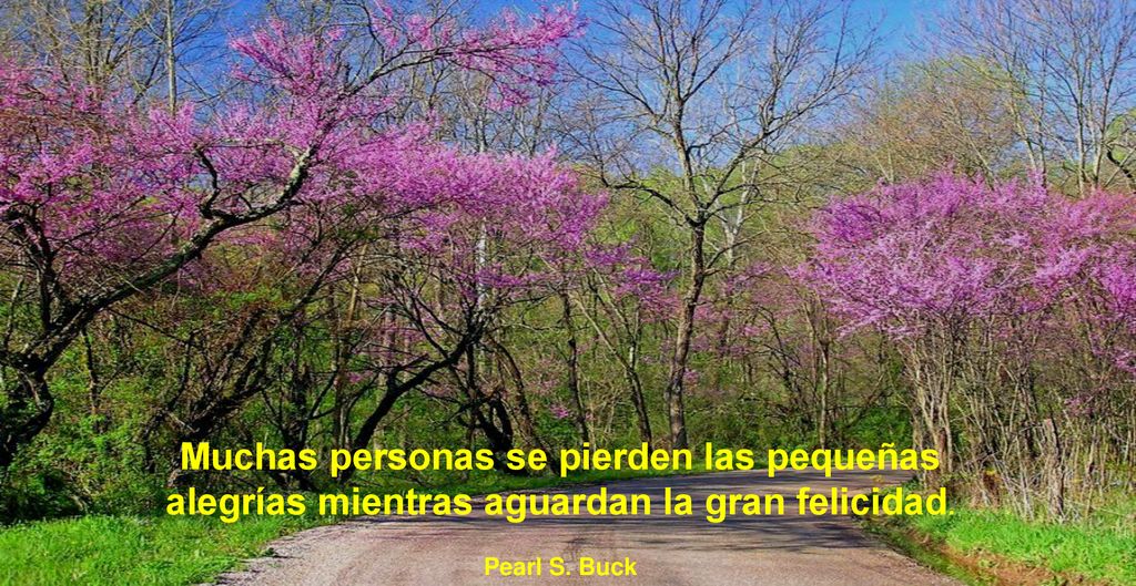 Muchas personas se pierden las pequeñas alegrías mientras aguardan la gran felicidad.