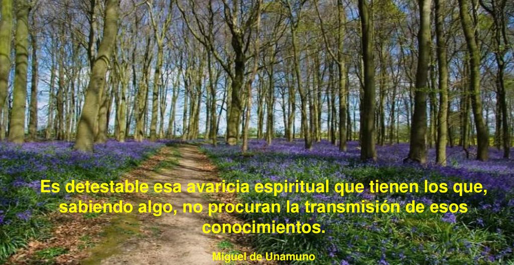 Es detestable esa avaricia espiritual que tienen los que, sabiendo algo, no procuran la transmisión de esos conocimientos.