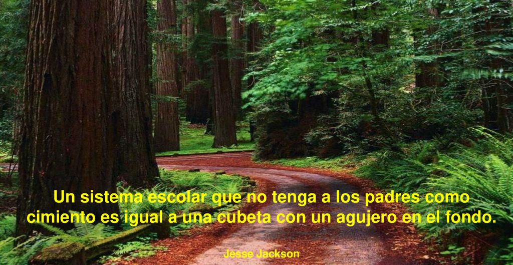 Un sistema escolar que no tenga a los padres como cimiento es igual a una cubeta con un agujero en el fondo.