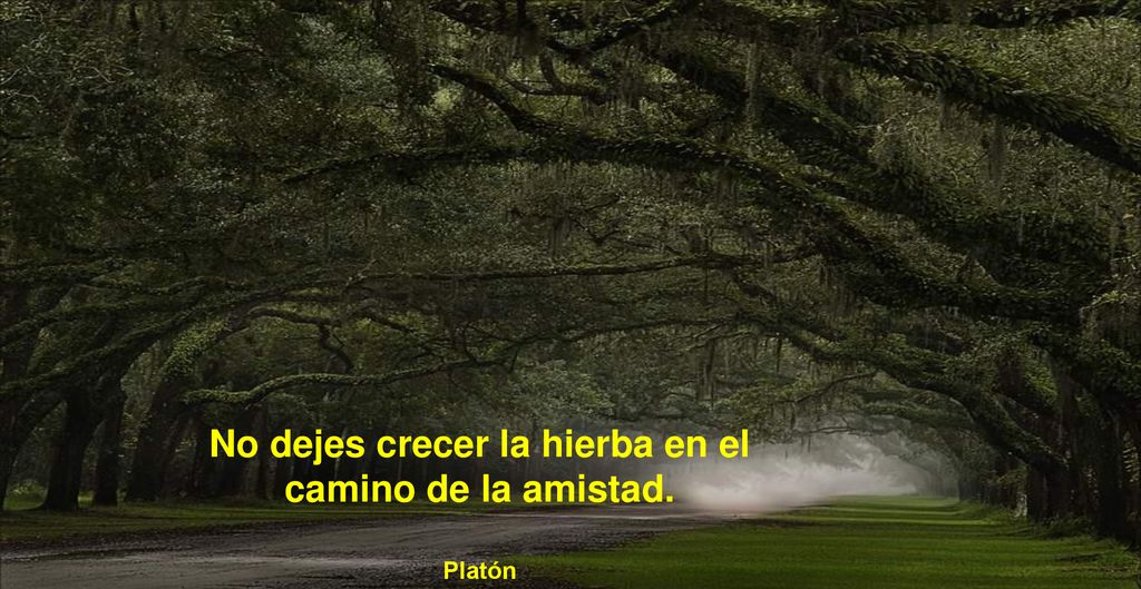 No dejes crecer la hierba en el camino de la amistad.