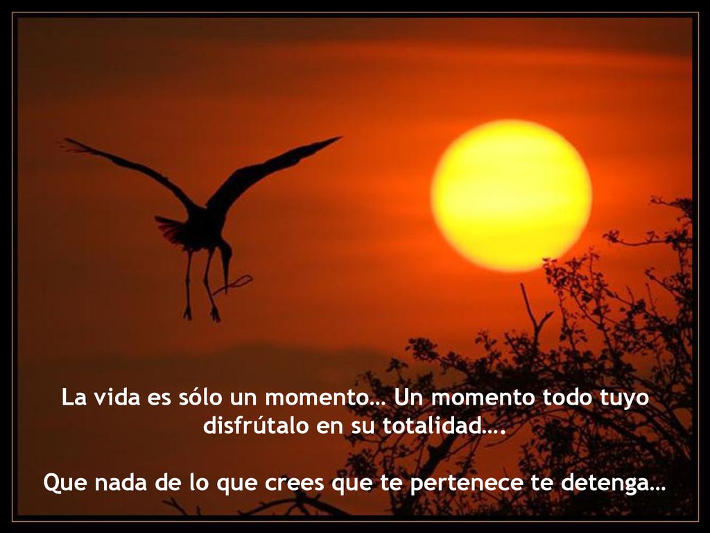 La vida es sólo un momento… Un momento todo tuyo