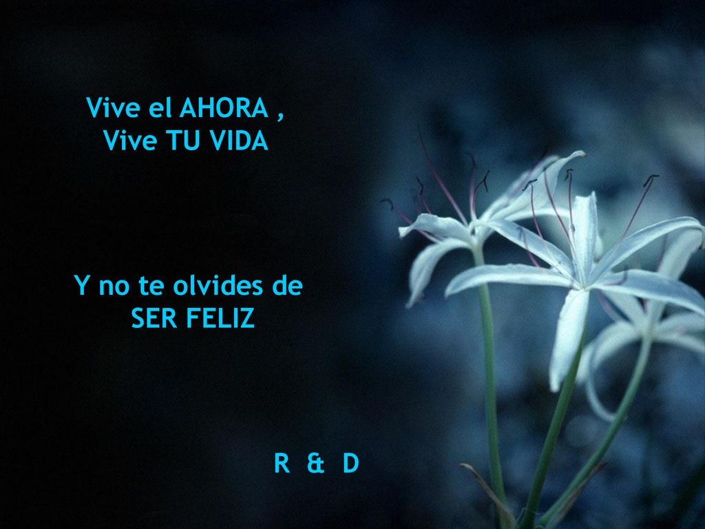 Vive el AHORA , Vive TU VIDA Y no te olvides de SER FELIZ R & D