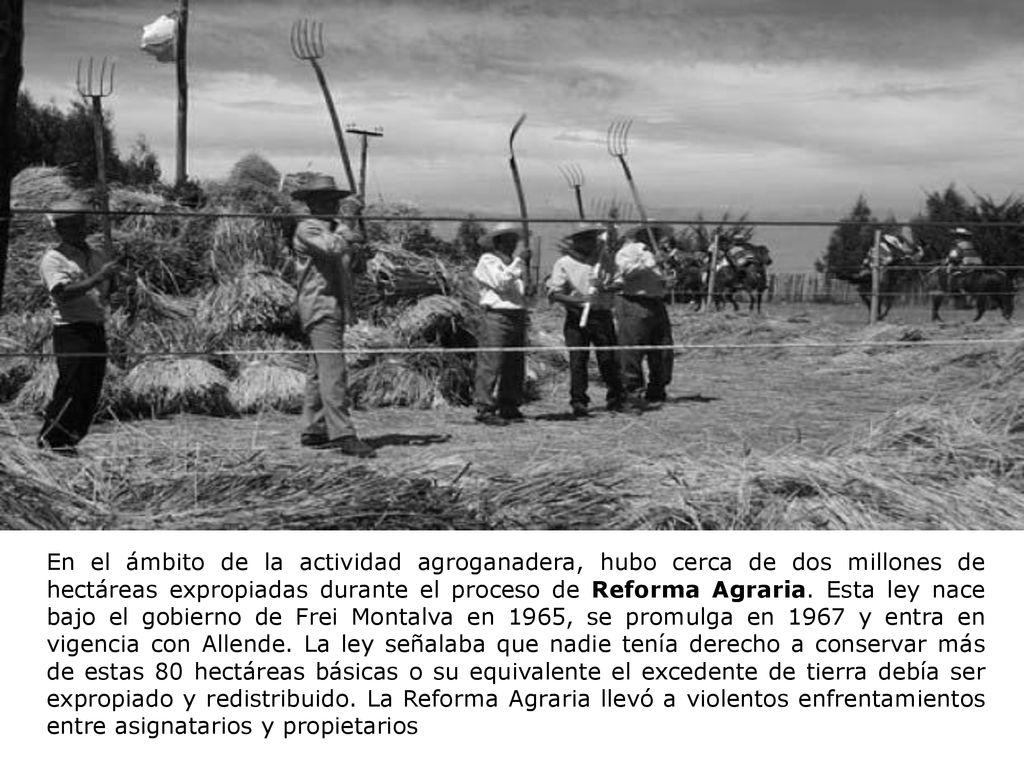 En el ámbito de la actividad agroganadera, hubo cerca de dos millones de hectáreas expropiadas durante el proceso de Reforma Agraria.