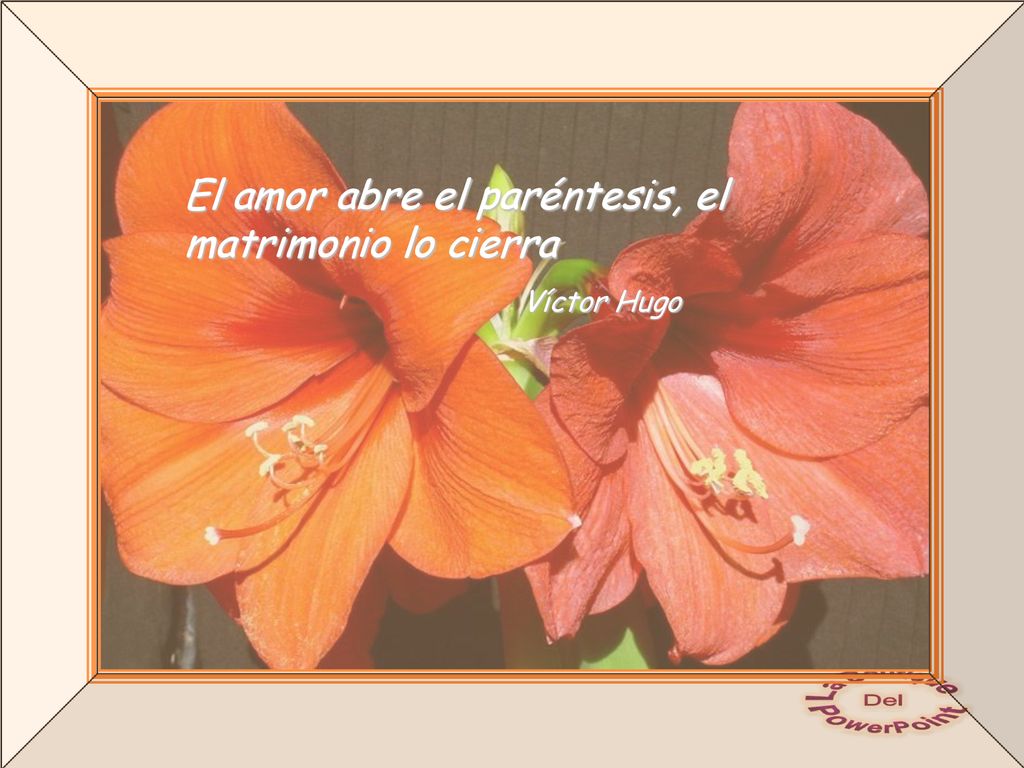 El amor abre el paréntesis, el matrimonio lo cierra