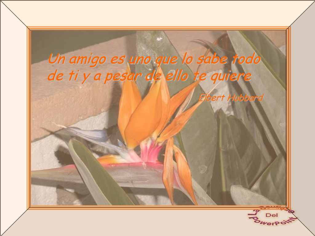 Un amigo es uno que lo sabe todo de ti y a pesar de ello te quiere