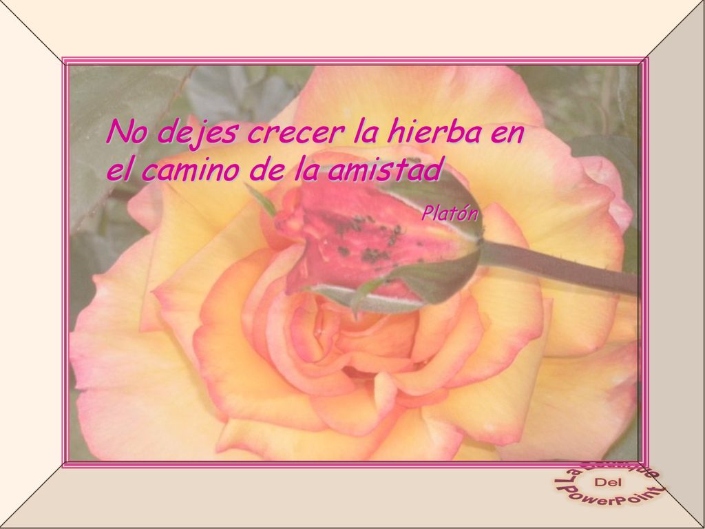 No dejes crecer la hierba en el camino de la amistad