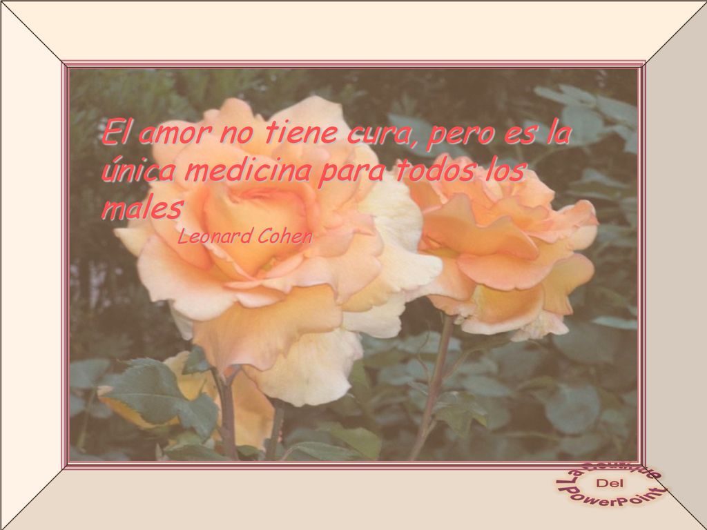 El amor no tiene cura, pero es la única medicina para todos los males