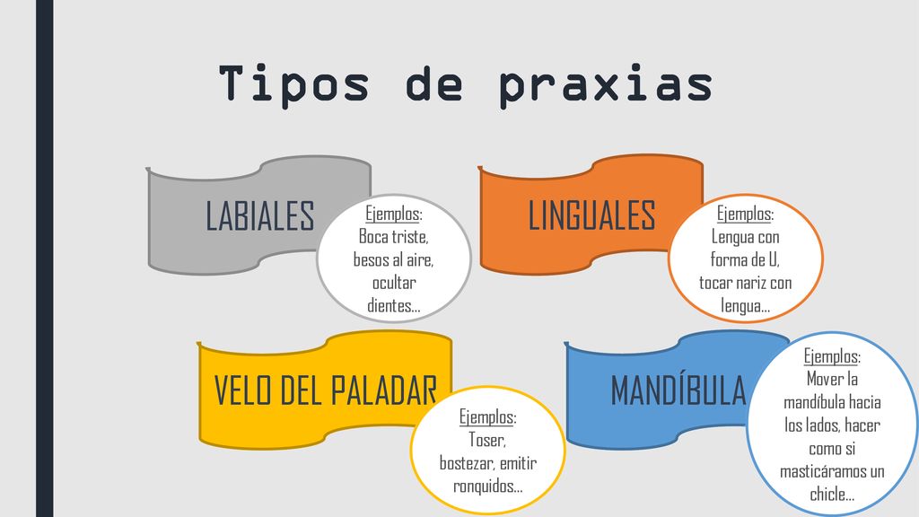 Tipos de praxias LABIALES LINGUALES VELO DEL PALADAR MANDÍBULA