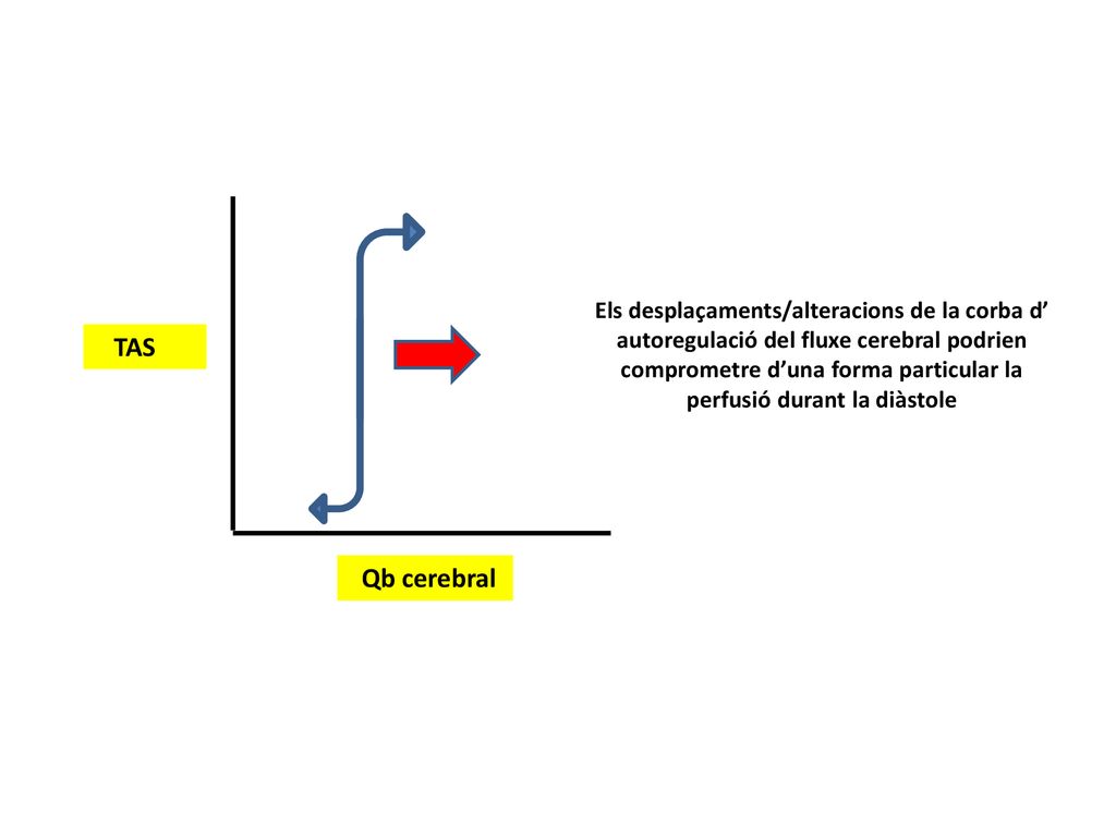 Els desplaçaments/alteracions de la corba d’ autoregulació del fluxe cerebral podrien comprometre d’una forma particular la perfusió durant la diàstole