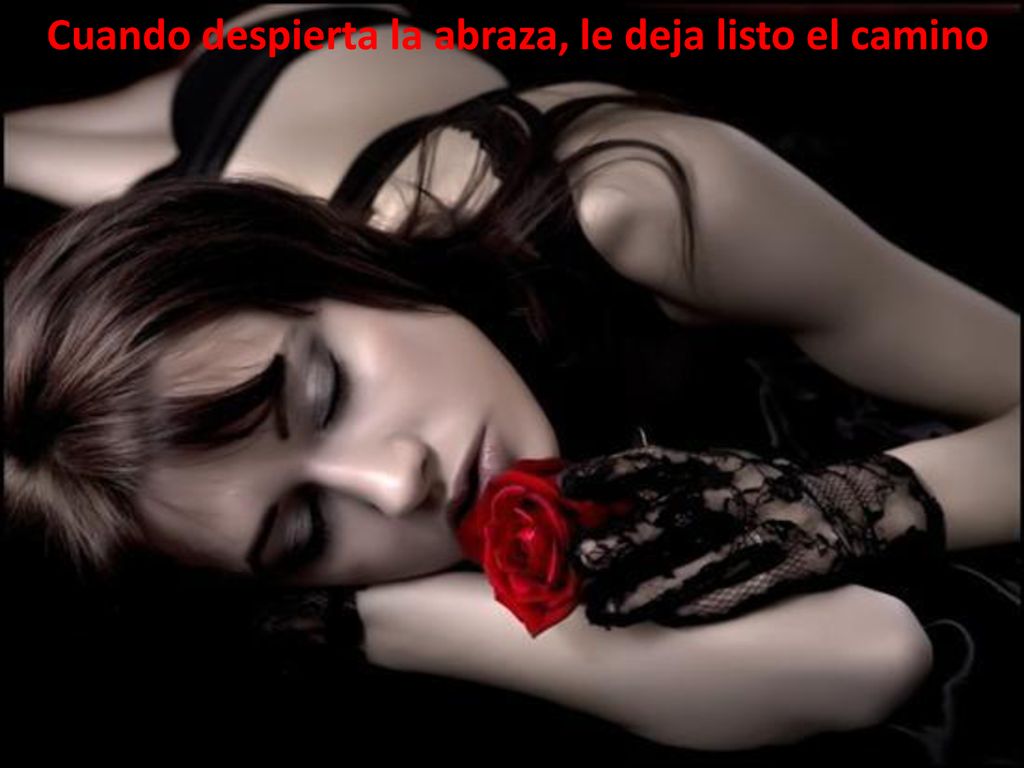 Cuando despierta la abraza, le deja listo el camino