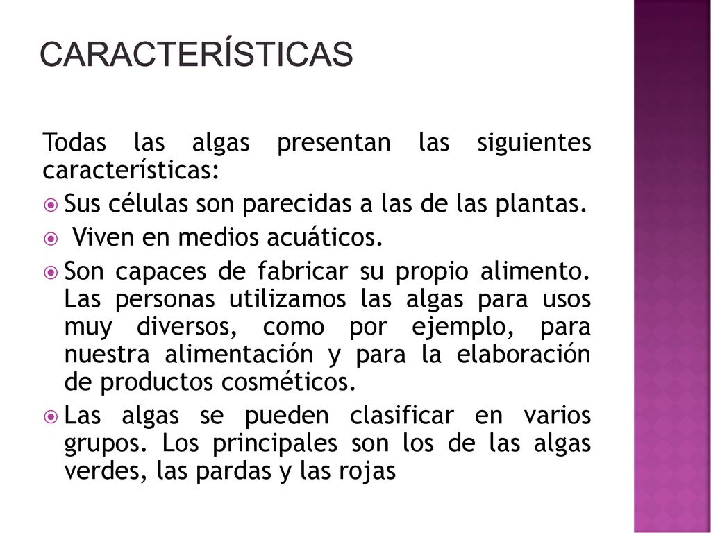 Características Todas las algas presentan las siguientes características: Sus células son parecidas a las de las plantas.