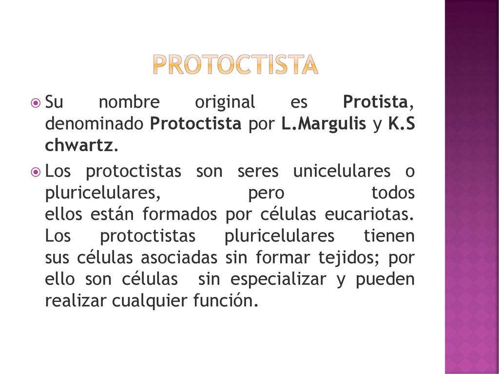 protoctista Su nombre original es Protista, denominado Protoctista por L.Margulis y K.S chwartz.