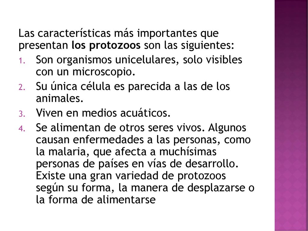 Las características más importantes que presentan los protozoos son las siguientes: