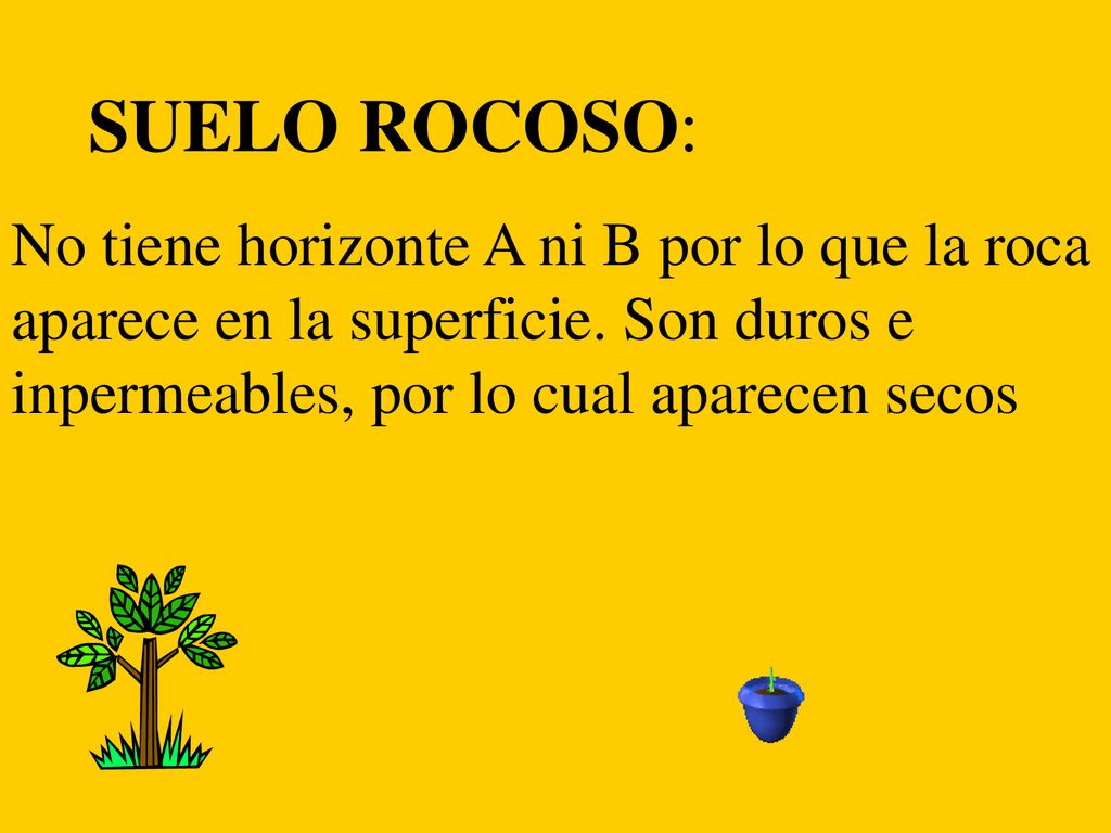 SUELO ROCOSO: No tiene horizonte A ni B por lo que la roca aparece en la superficie.