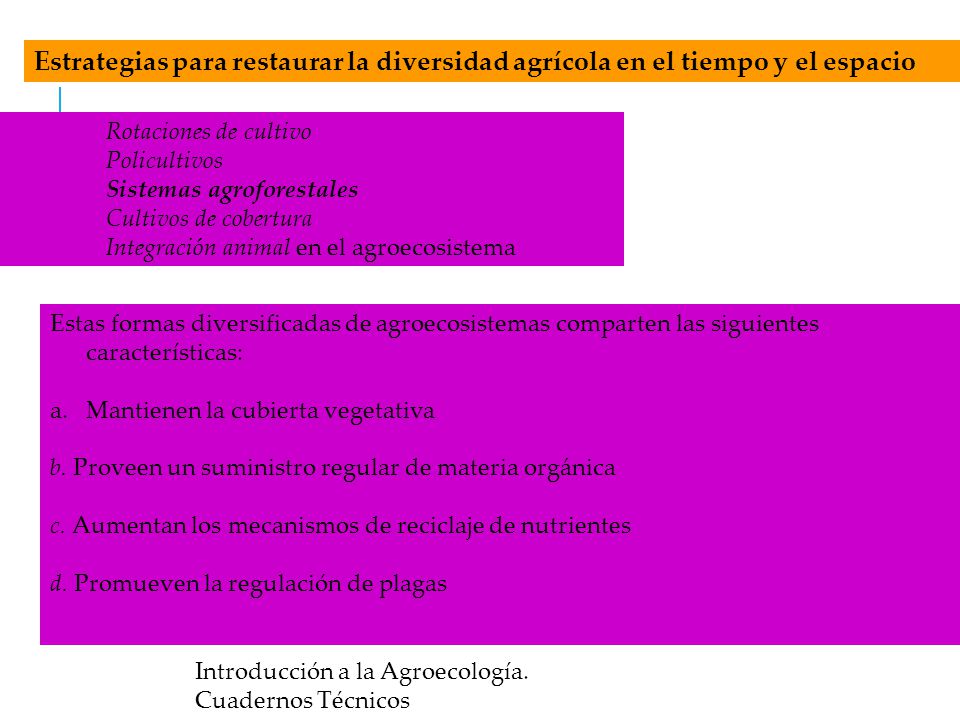 Estrategias para restaurar la diversidad agrícola en el tiempo y el espacio