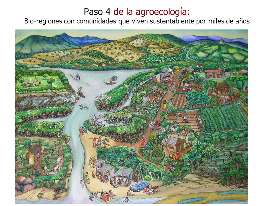 Paso 4 de la agroecología: Bio-regiones con comunidades que viven sustentablente por miles de años
