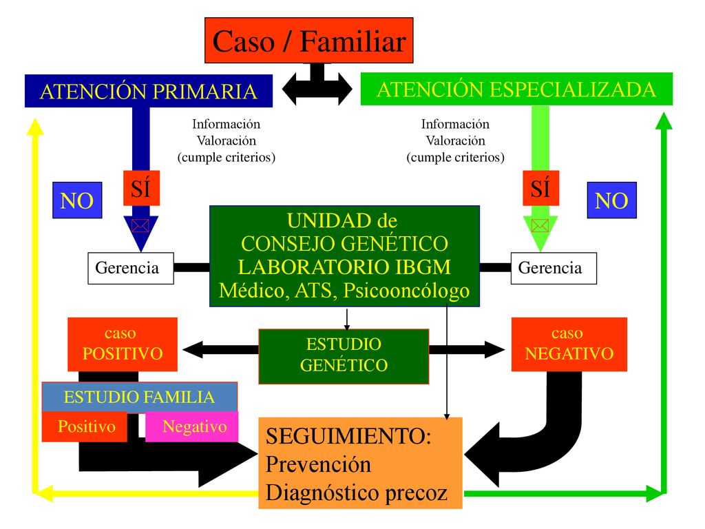 Caso / Familiar SÍ SÍ NO NO SEGUIMIENTO: Prevención Diagnóstico precoz