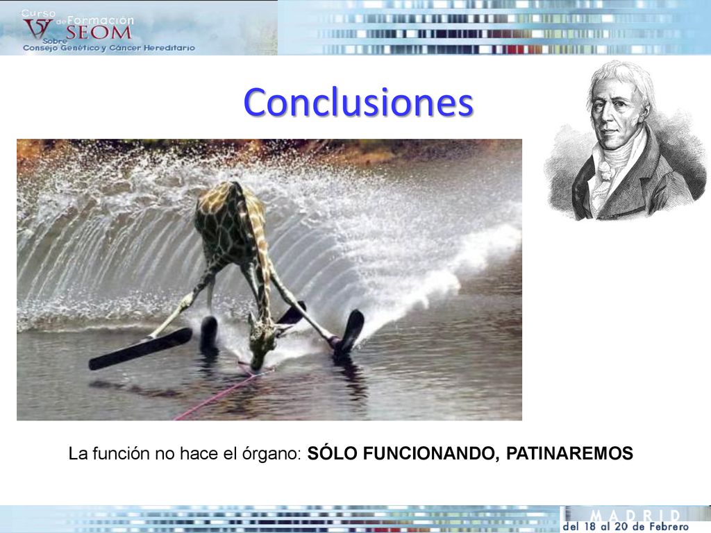 Conclusiones La función no hace el órgano: SÓLO FUNCIONANDO, PATINAREMOS