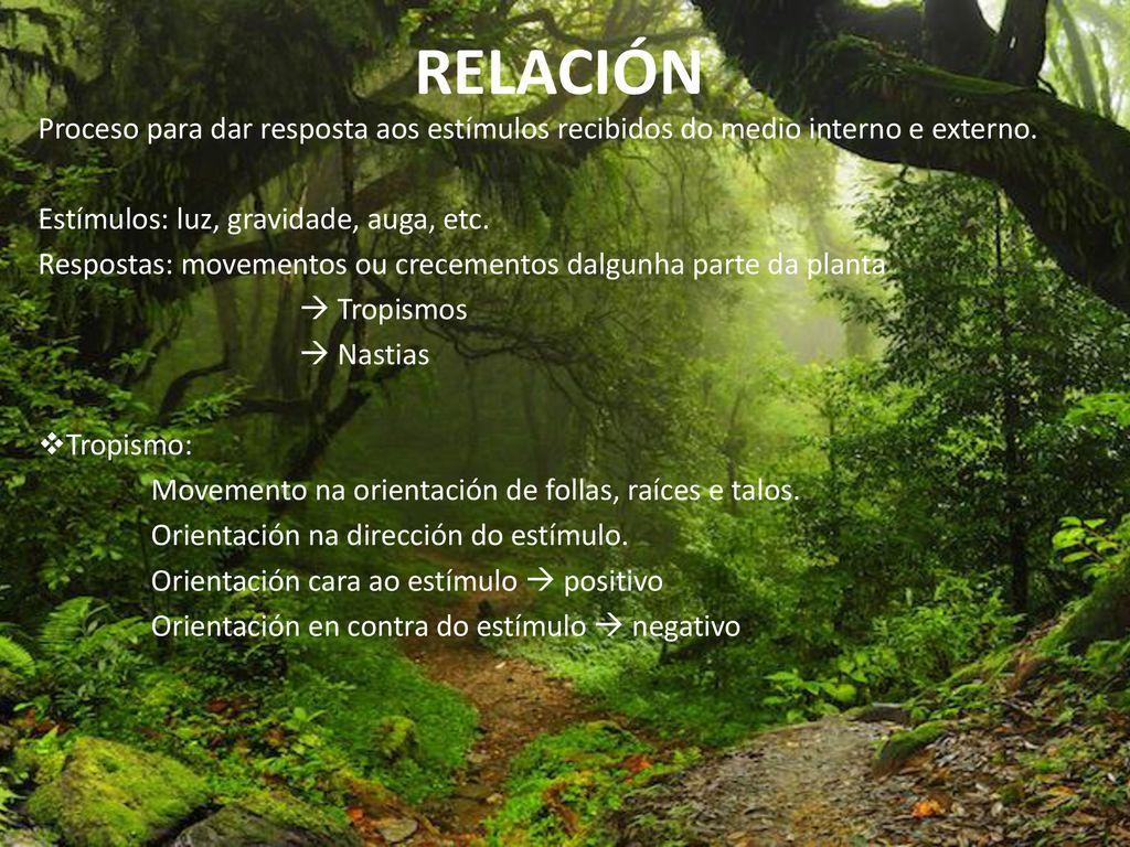 RELACIÓN Proceso para dar resposta aos estímulos recibidos do medio interno e externo. Estímulos: luz, gravidade, auga, etc.