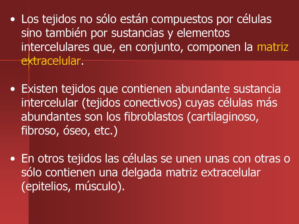 Los tejidos no sólo están compuestos por células sino también por sustancias y elementos intercelulares que, en conjunto, componen la matriz extracelular.