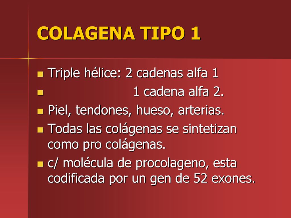 COLAGENA TIPO 1 Triple hélice: 2 cadenas alfa 1 1 cadena alfa 2.