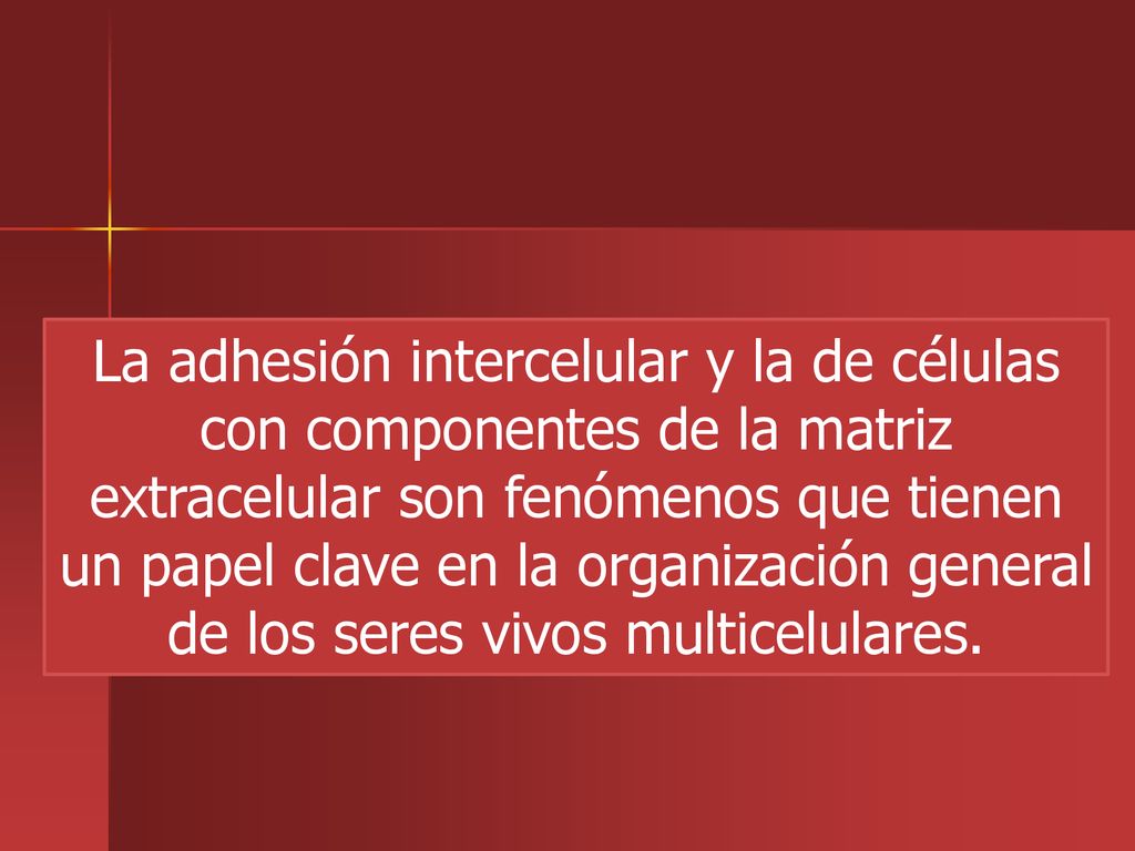 La adhesión intercelular y la de células con componentes de la matriz extracelular son fenómenos que tienen un papel clave en la organización general de los seres vivos multicelulares.