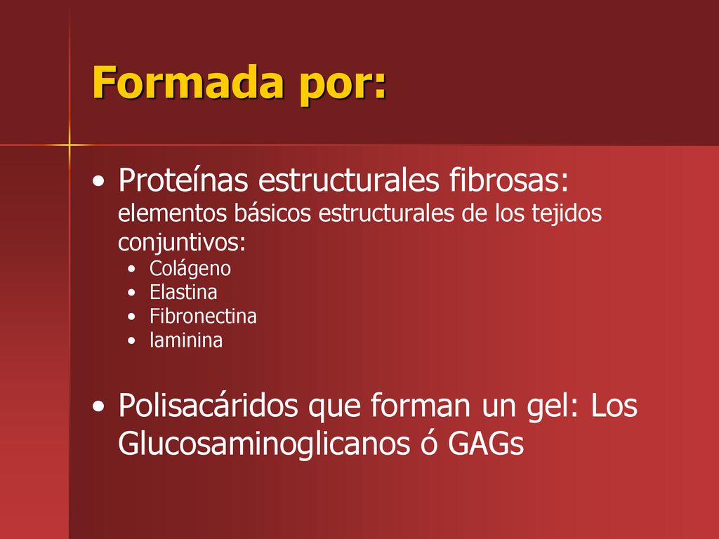 Formada por: Proteínas estructurales fibrosas: elementos básicos estructurales de los tejidos conjuntivos: