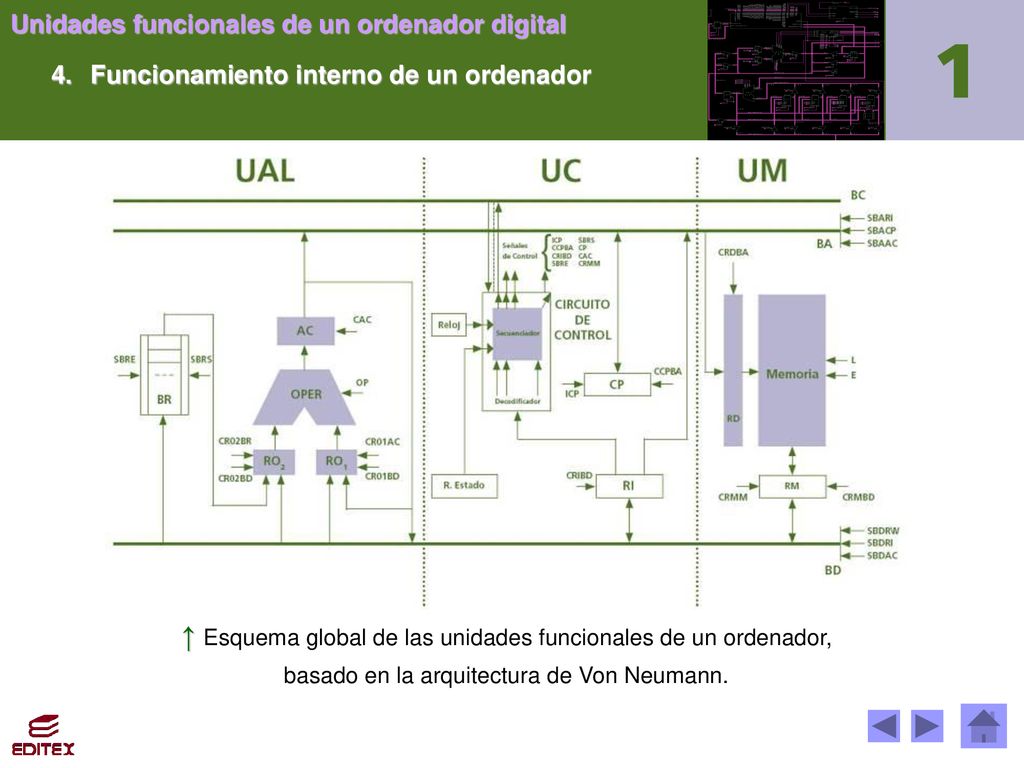 ↑ Esquema global de las unidades funcionales de un ordenador,