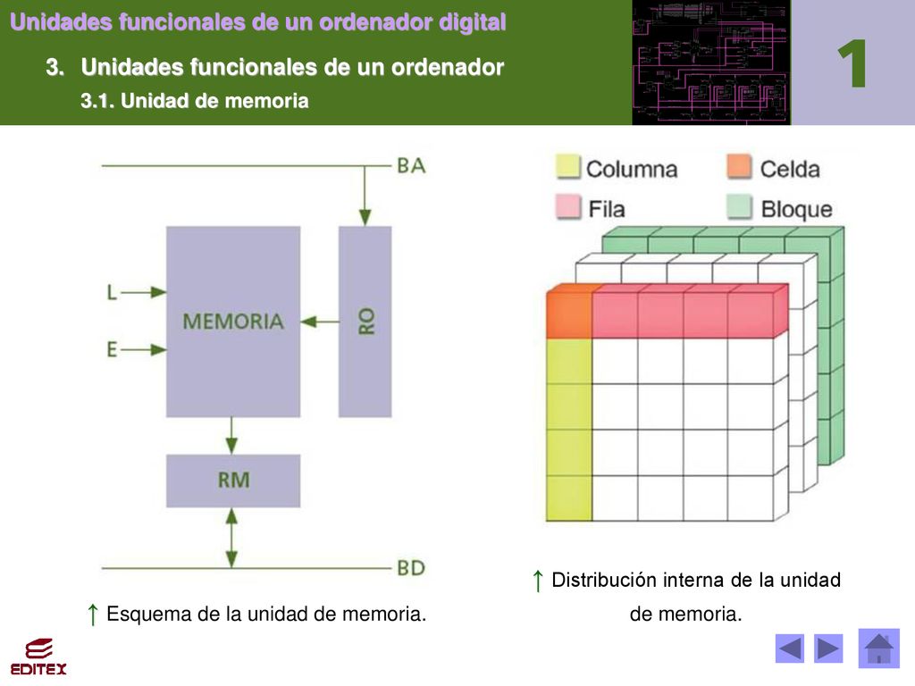 ↑ Distribución interna de la unidad ↑ Esquema de la unidad de memoria.