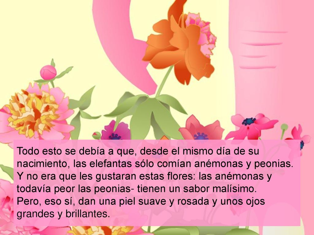Todo esto se debía a que, desde el mismo día de su nacimiento, las elefantas sólo comían anémonas y peonias.