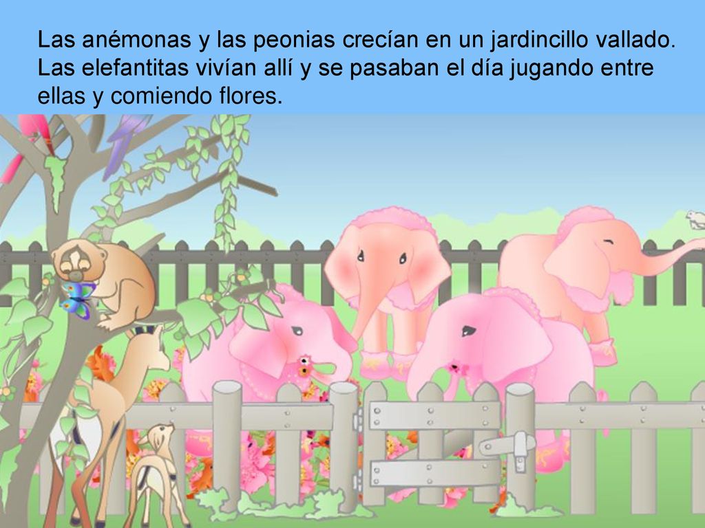 Las anémonas y las peonias crecían en un jardincillo vallado