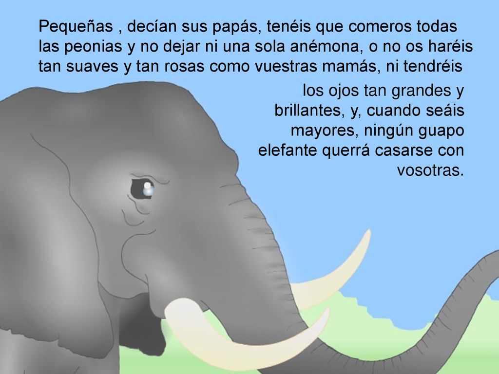 Pequeñas , decían sus papás, tenéis que comeros todas las peonias y no dejar ni una sola anémona, o no os haréis tan suaves y tan rosas como vuestras mamás, ni tendréis