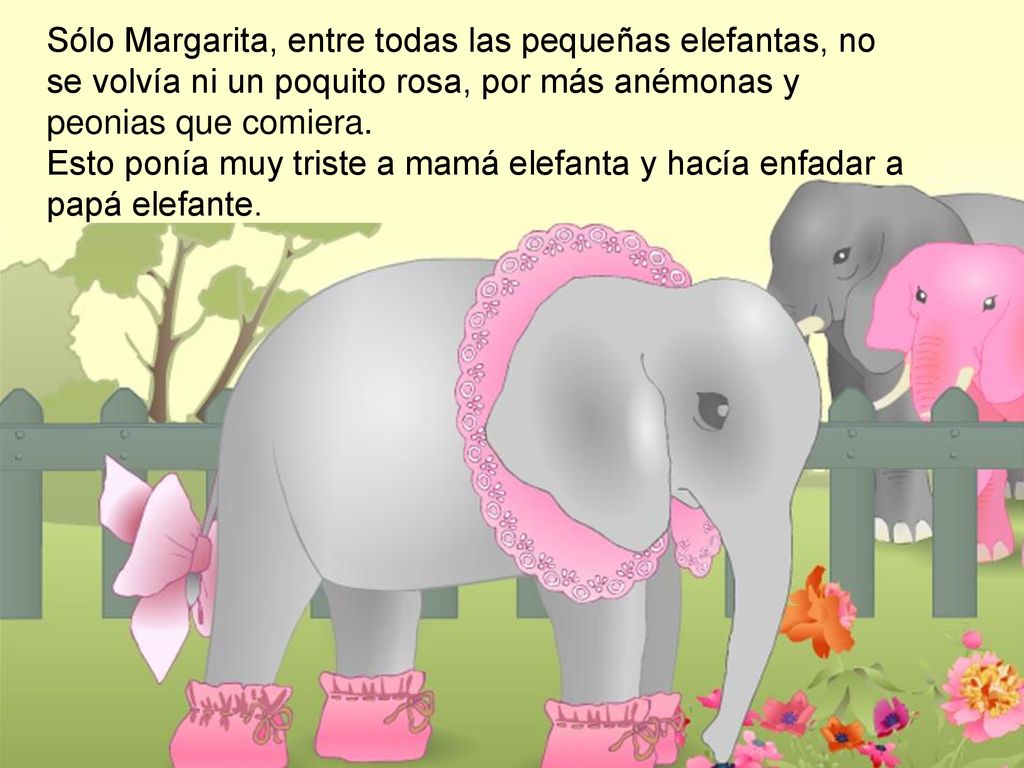 Sólo Margarita, entre todas las pequeñas elefantas, no se volvía ni un poquito rosa, por más anémonas y peonias que comiera.