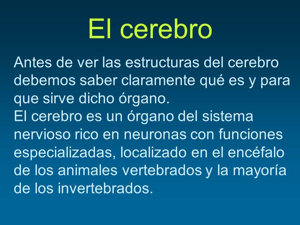 El cerebro Antes de ver las estructuras del cerebro debemos saber claramente qué es y para que sirve dicho órgano.