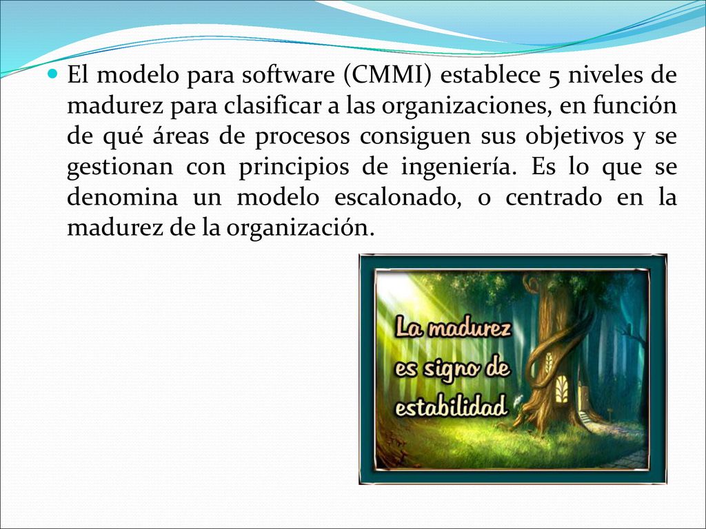 El modelo para software (CMMI) establece 5 niveles de madurez para clasificar a las organizaciones, en función de qué áreas de procesos consiguen sus objetivos y se gestionan con principios de ingeniería.