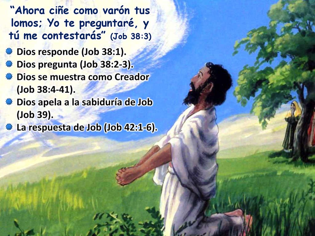 Ahora ciñe como varón tus lomos; Yo te preguntaré, y tú me contestarás (Job 38:3)