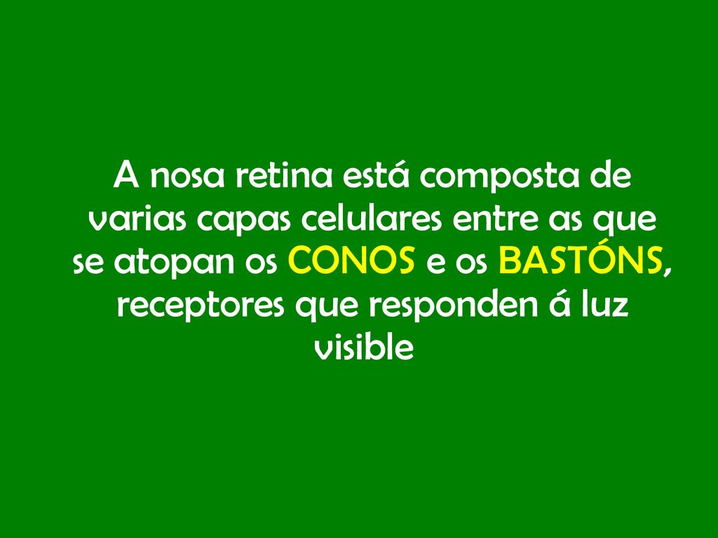 A nosa retina está composta de varias capas celulares entre as que se atopan os CONOS e os BASTÓNS, receptores que responden á luz visible